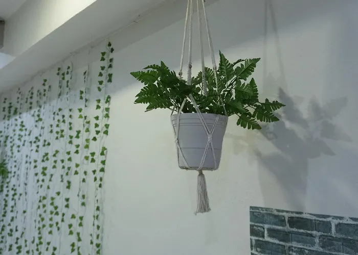 Balxiba Downtown Boutique Hotel Playa del Carmen